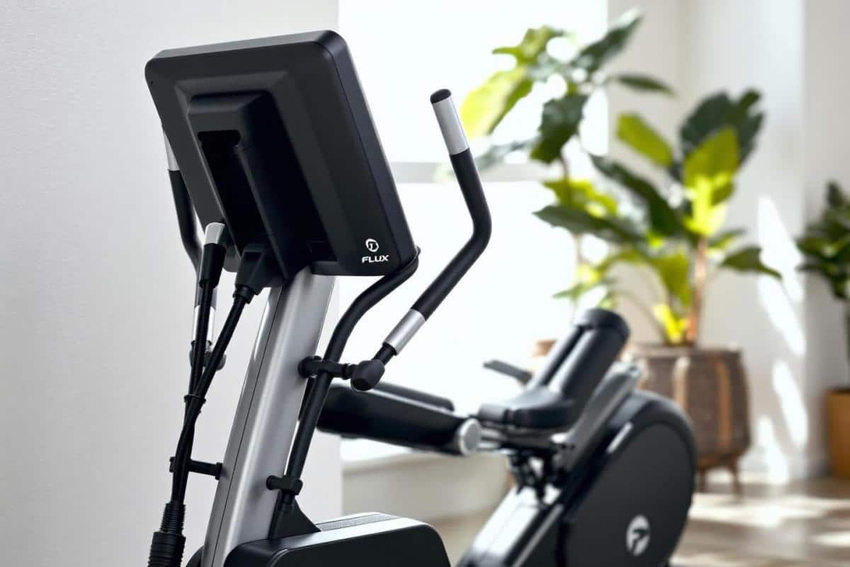 Quel muscle fait travailler le rameur ?